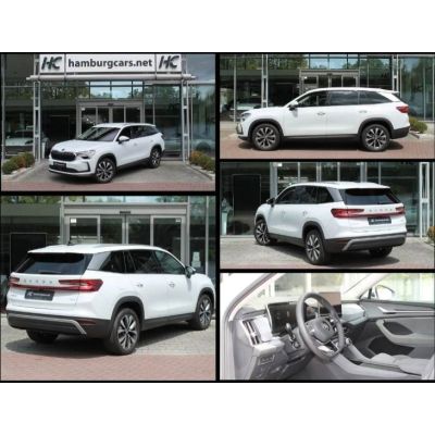 Skoda Kodiaq Selection(s) 2.0TDI 4x4 AHK HUD Winter...