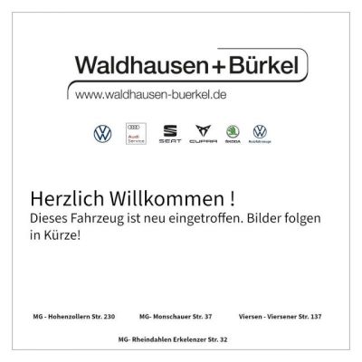 Volkswagen T-Roc R-Line DSG 1.5 l TSI OPF+AHK+IQ-Light+Blac