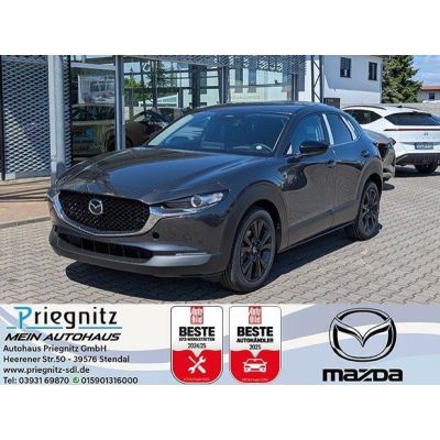 Mazda CX-30 2025 Mazda CX-30 5WGN 2.5L e-SKYACTIV G