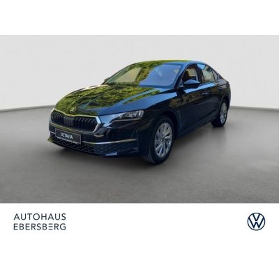 Skoda Octavia 2.0 TSI 150 KW 4x4 DSG Assist Winter