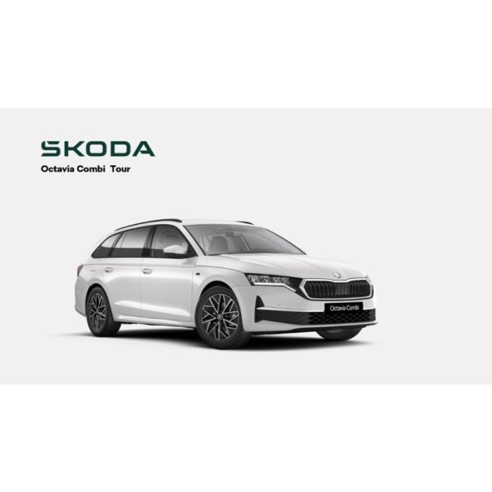 Skoda Octavia Combi 2.0 TDI 110 kW Tour*AHK*Matrix-LED
