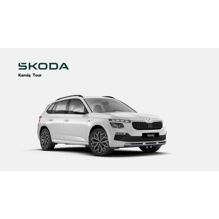 Skoda Kamiq Selection 1.5 TSI*AHK*INFOTAINMENT*