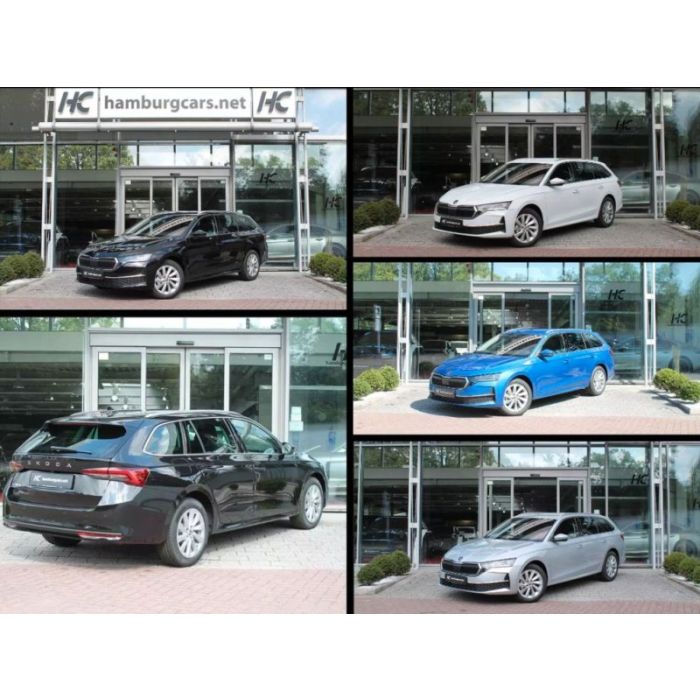 Skoda Octavia Combi Selection+ 2.0TDI DSG Cam Winte...