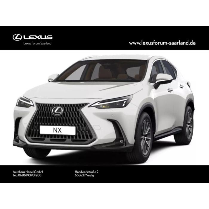 Lexus NX 350 h Executive Line,Tech,Interieur