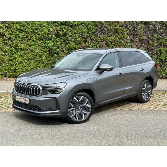 Skoda Kodiaq Exclusive 204PS iV Leder LM20" NAVI AHK