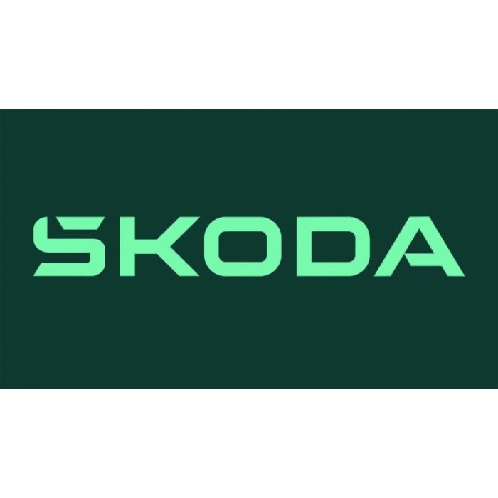 Skoda Octavia Combi 2.0 TSI RS - AHK, Navi, SH