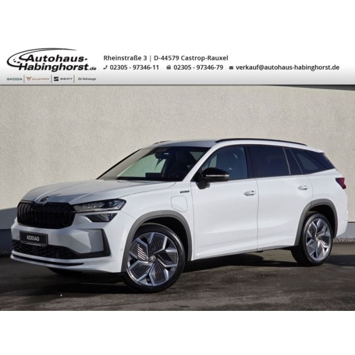 Skoda Kodiaq II 1.5 TSI iV DSG Sportline AHK 360 Navi 