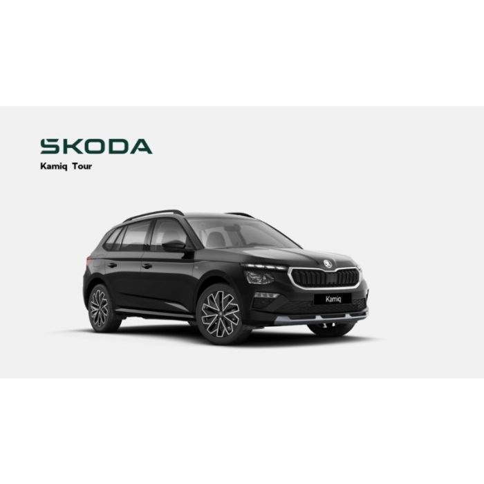 Skoda Kamiq Tour 1.5 TSI*AHK*Infotainment*