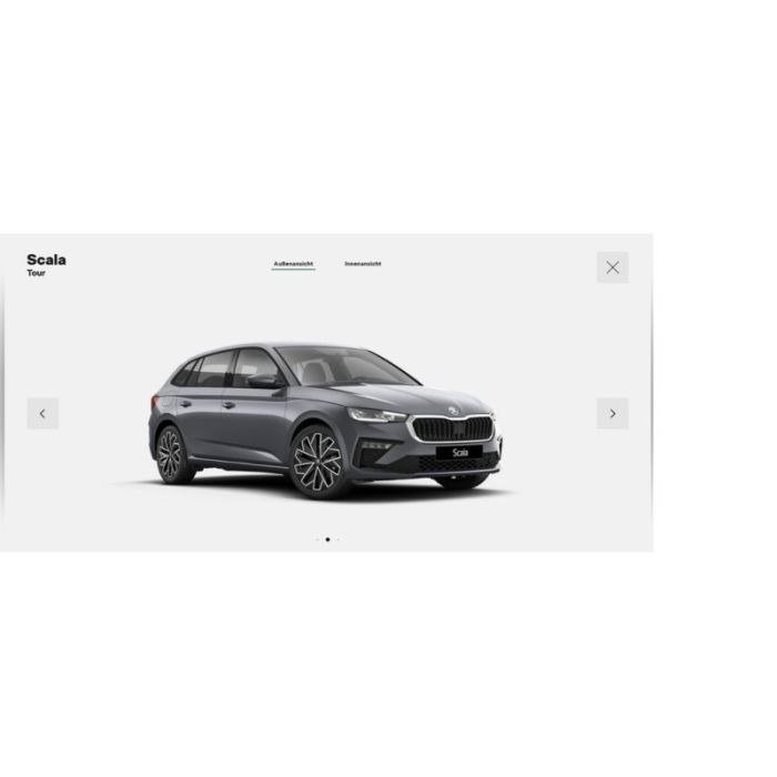 Skoda Scala 1.5 TSI DSG Tour 150 PS Toter-Winkel AHK