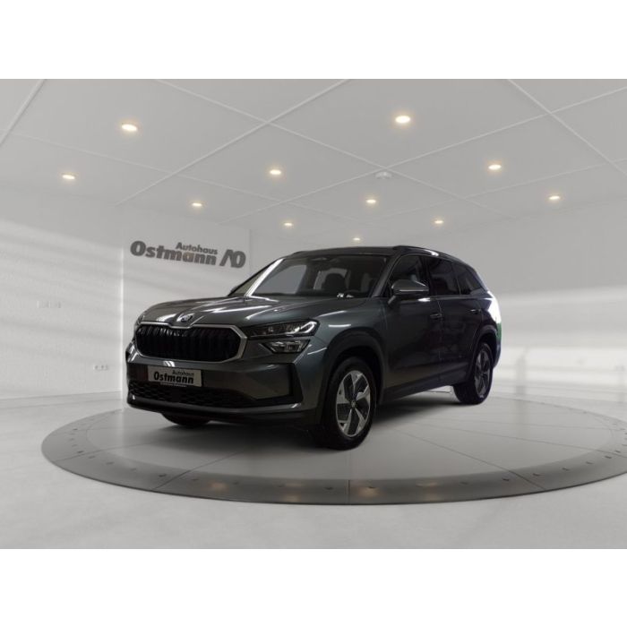 Skoda Kodiaq 2.0 TDI DSG AHK ACC RFK PDC NAVI FSE