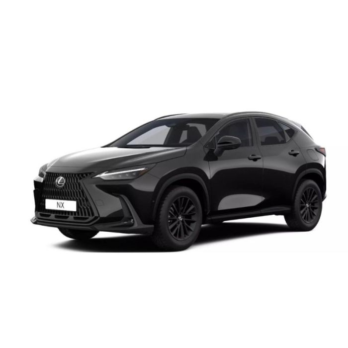 Lexus NX 350h E-FOUR Overtrail *Pano*360*HUD*Navi*LED*
