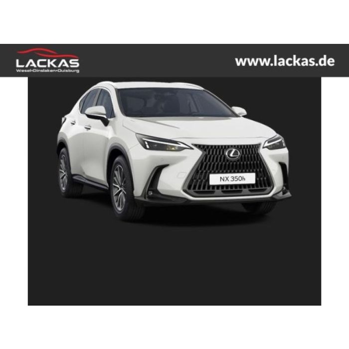 Lexus NX 350h EU6d Business Connect - Paket