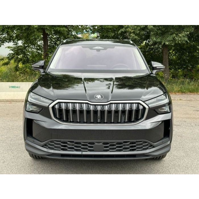 Skoda Kodiaq 2.0 TDI 4x4 142 KW DSG Exclu. Matrix AHK