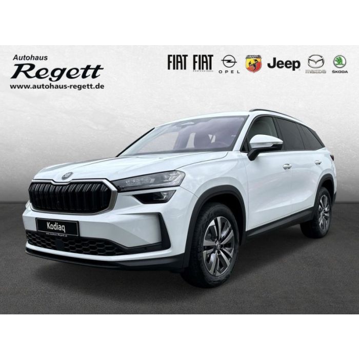 Skoda Kodiaq 2.0 TDI 142 kW 4x4 Selection EU6e*Allrad*