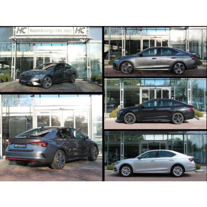 Skoda Octavia RS 2,0TSI DSG 19" DCC CANTON WinterPa...
