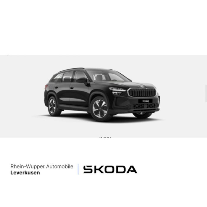 Skoda Kodiaq TDI 4x4 Selection 7-SITZ PANO STANDHZ AHK