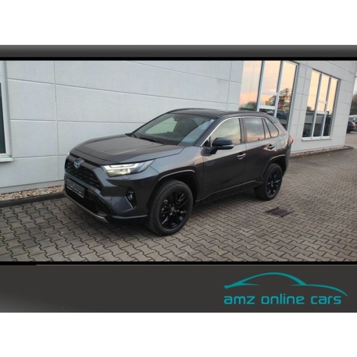 Toyota RAV 4 2.5 Style MJ25 Smart Entry*Leder*Totwinkel