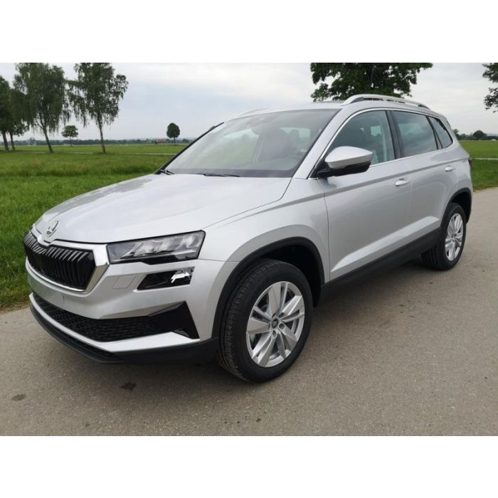 Skoda Karoq 2.0 TDI Selection DSG GV5 AHK 17