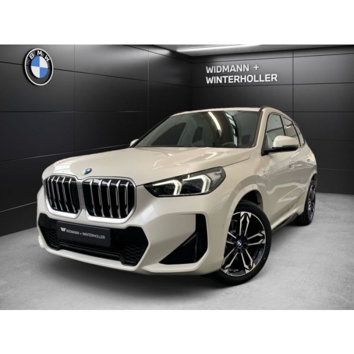 BMW X1 sDrive20i M-Sport FLA ACC RFK AHK DAB ad. LED
