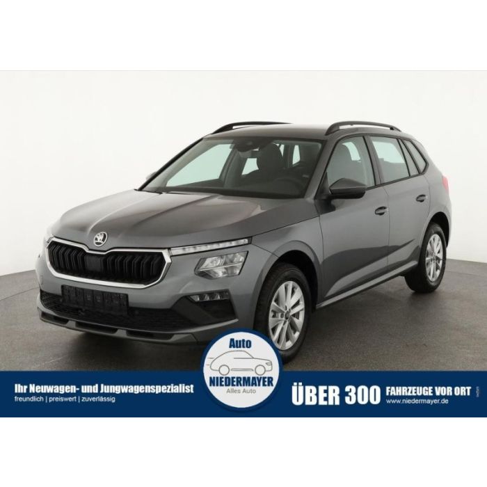 Skoda Kamiq 1.5 TSI Selection, AHK, 16-Zoll, Kamera, W