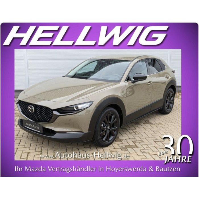 Mazda CX-30 2.0l Skyactiv-X Nagisa Teilleder Bose Navi