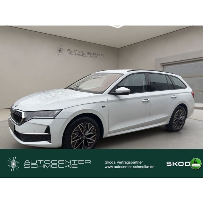 Skoda OCTAVIA COMBI TOUR 2.0 TDI DSG SHZ*RFK*SMARTLINK