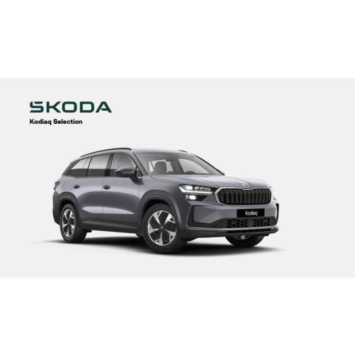 Skoda Kodiaq II 1.5 TSI iV Selection *0,5%*ACC*MATRIX*