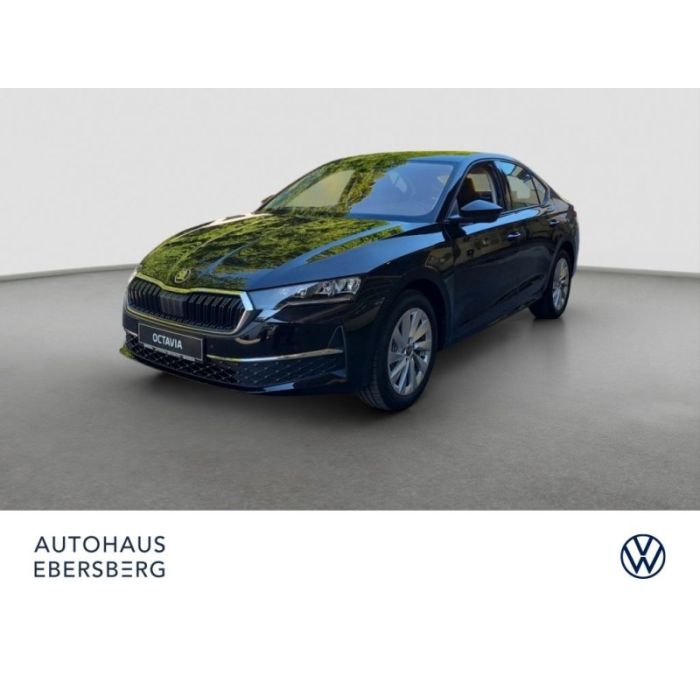 Skoda Octavia 2.0 TSI 150 KW 4x4 DSG Assist Winter